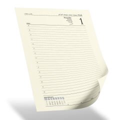 ERGAZİ TARİHLİ AJANDA (17X24 CM)