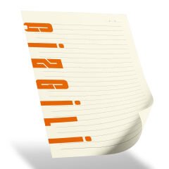 PURSAKLAR SPİRALLİ TARİHSİZ DEFTER (15X21 CM)