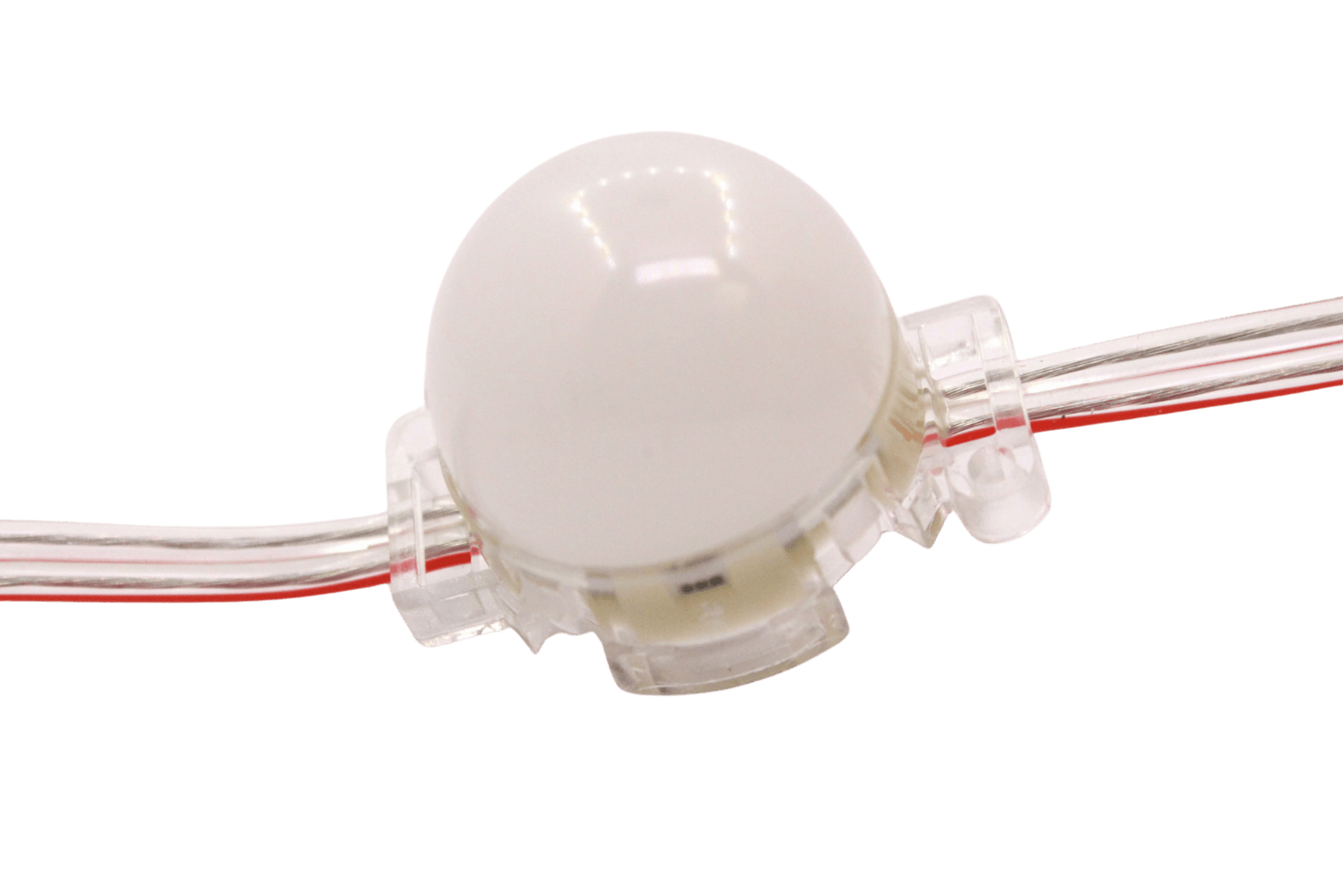 Point Led 30 mm 24V | RGB & Renk Seçenekli