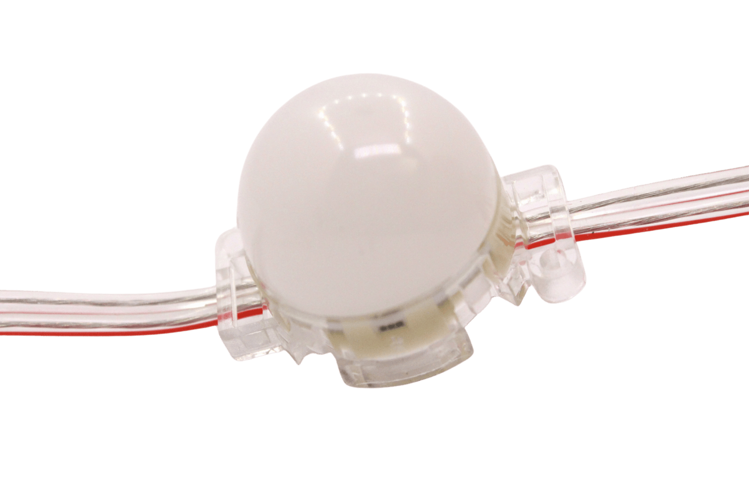 Point Led 30 mm 24V | RGB & Renk Seçenekli