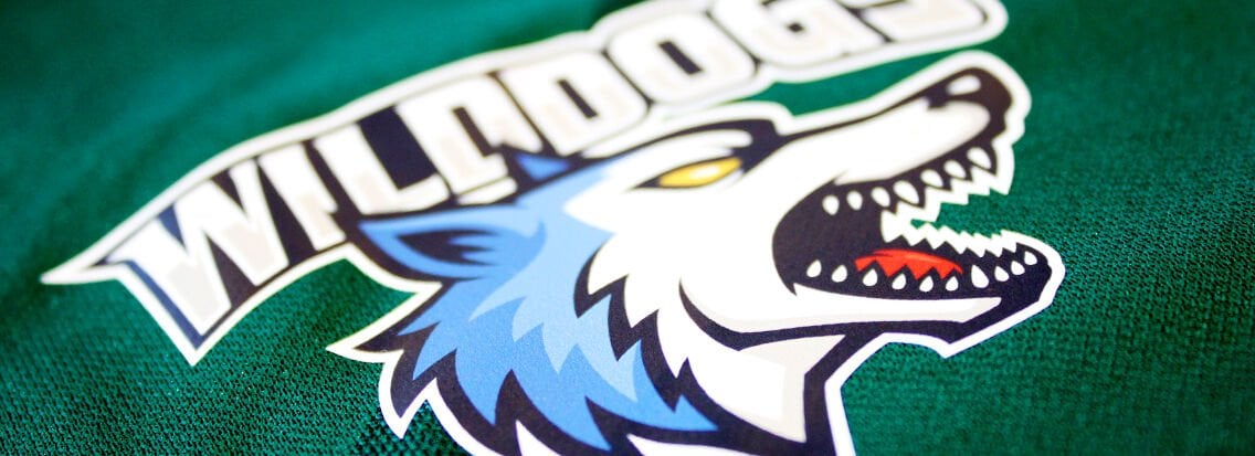 Tekstil İçin Baskes Transfer Folyosu – Poli-Tape Ultimate Print 4025 (Mat Görünüm) 0,50*25 M