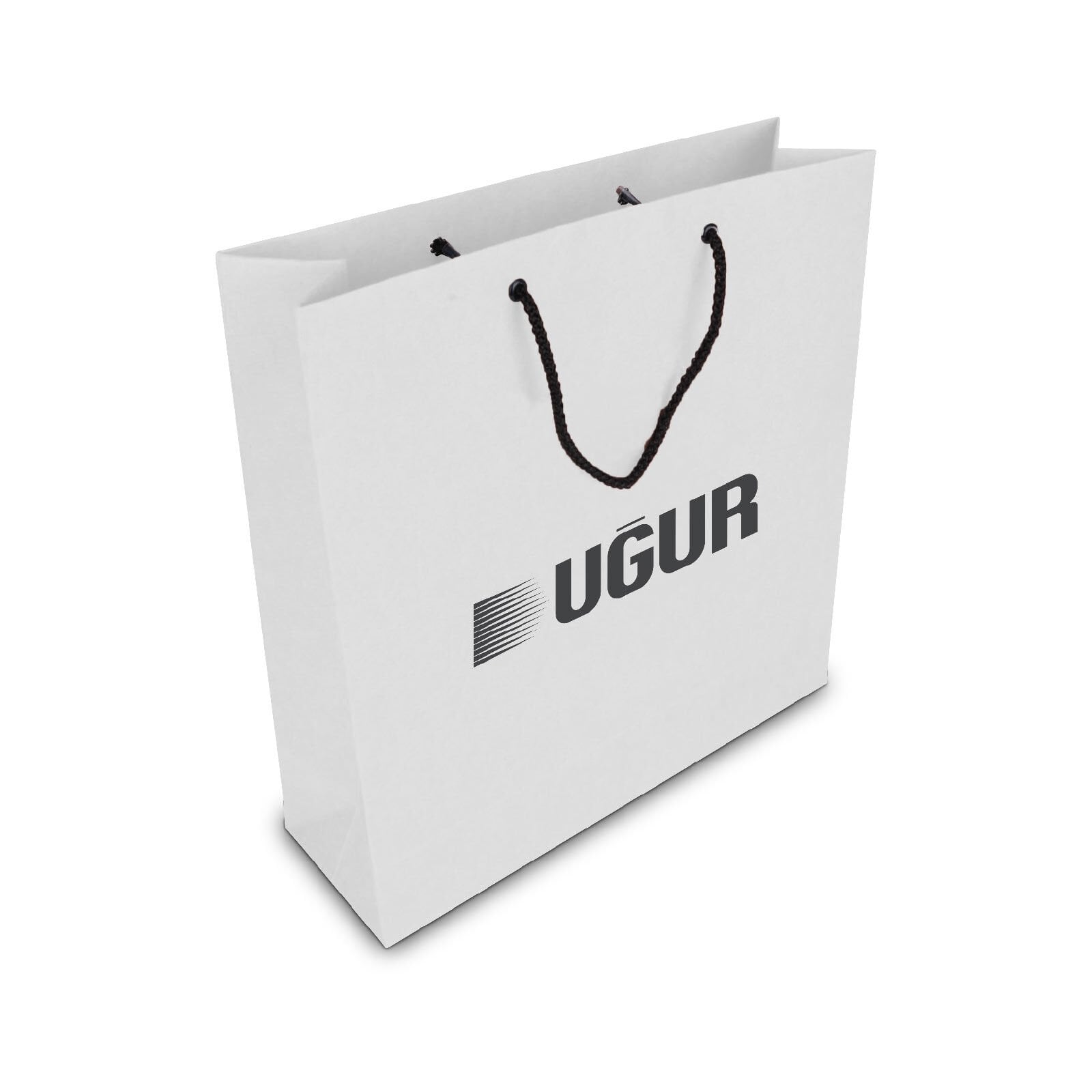 ALA-56 KÜÇÜK BOY KARTON ÇANTA(24x25.5x8,5 cm)